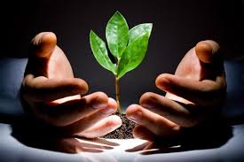 Real Funding Sources for your Company